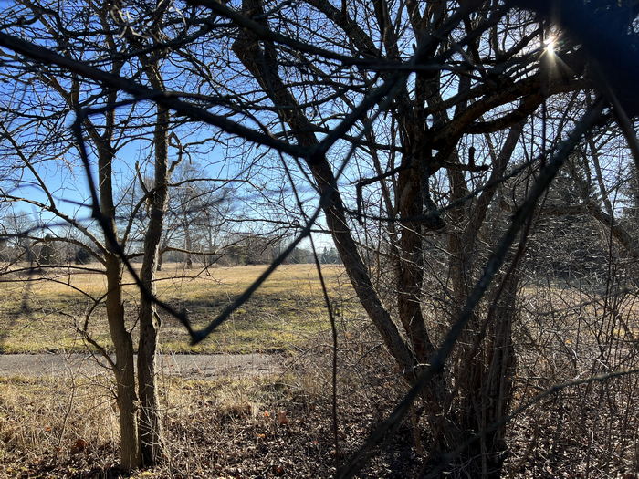Romeo Golf & Country Club - Course And Cart Path Jan 14 2023